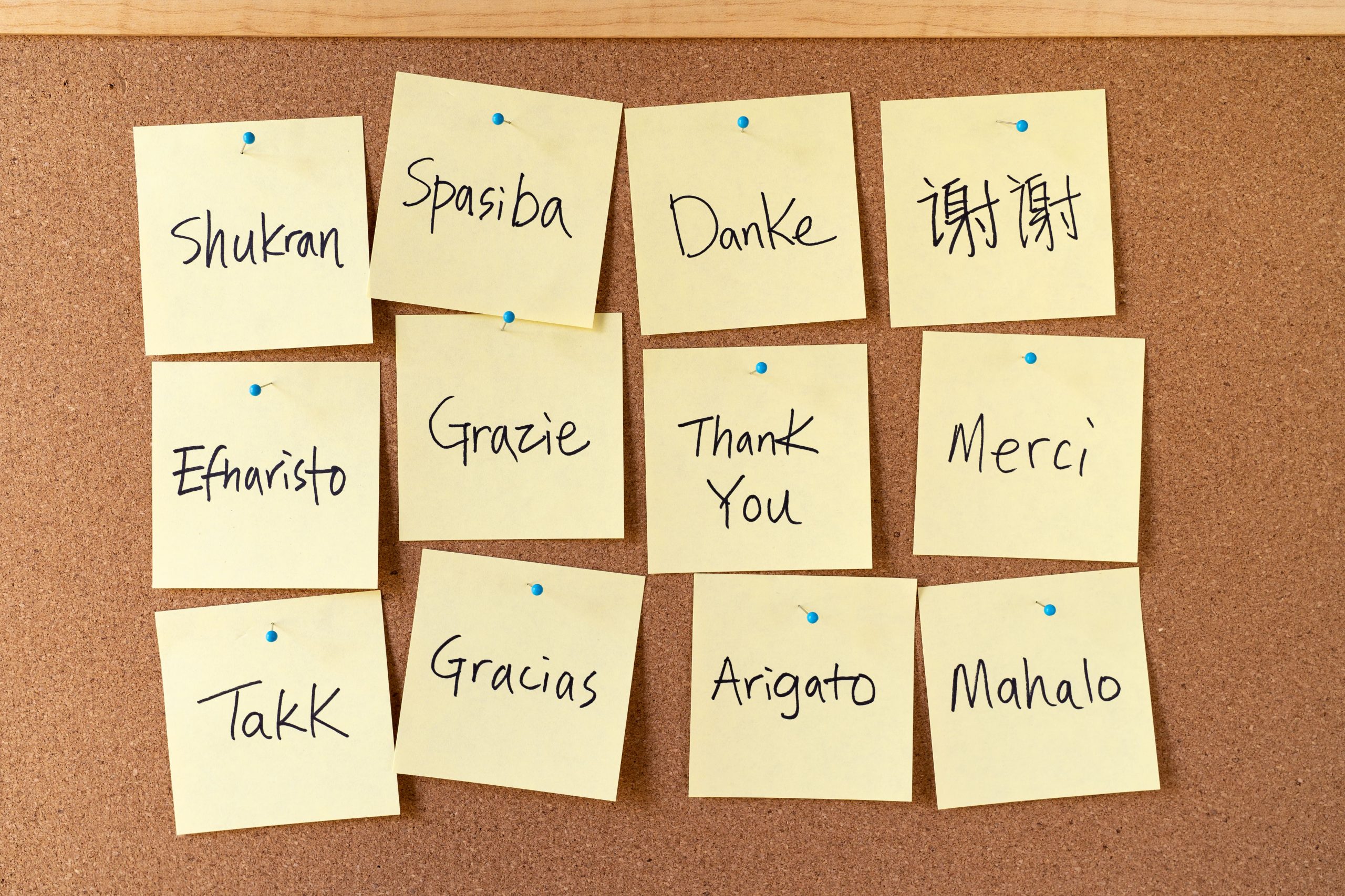 thank-you-word-cloud-notes-on-corkboard-7NFRTRA-min