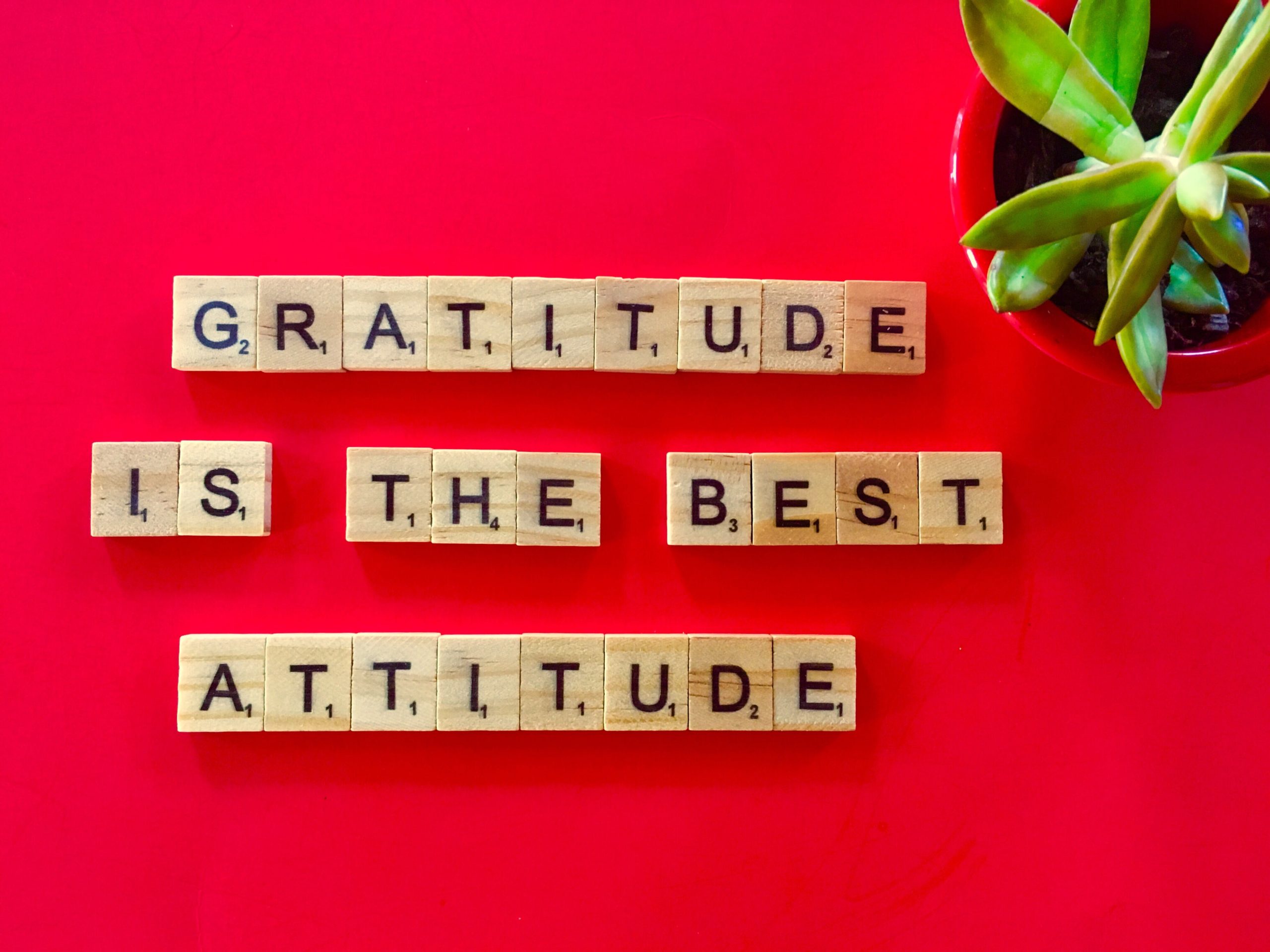 gratitude-min